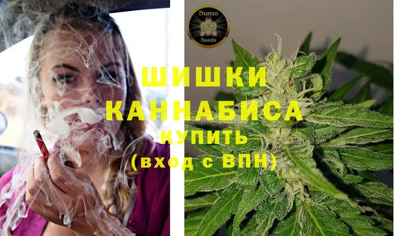 Марихуана THC 21%  как найти наркотики  Белая Холуница 